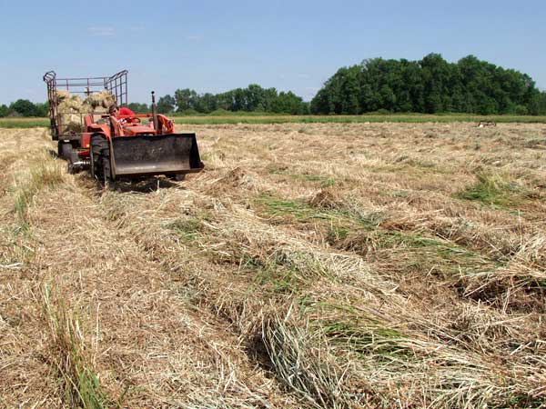 Baler going down row