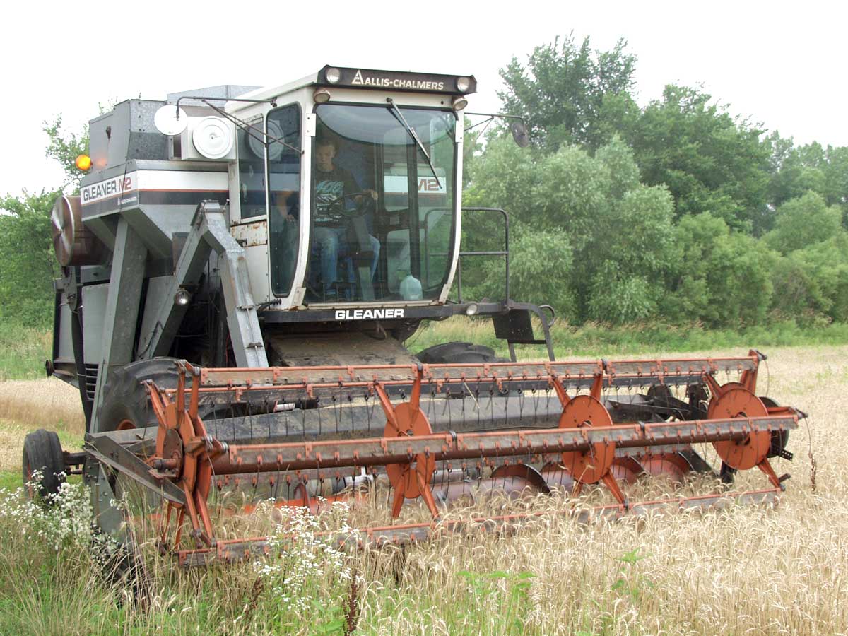 Combining Wheat