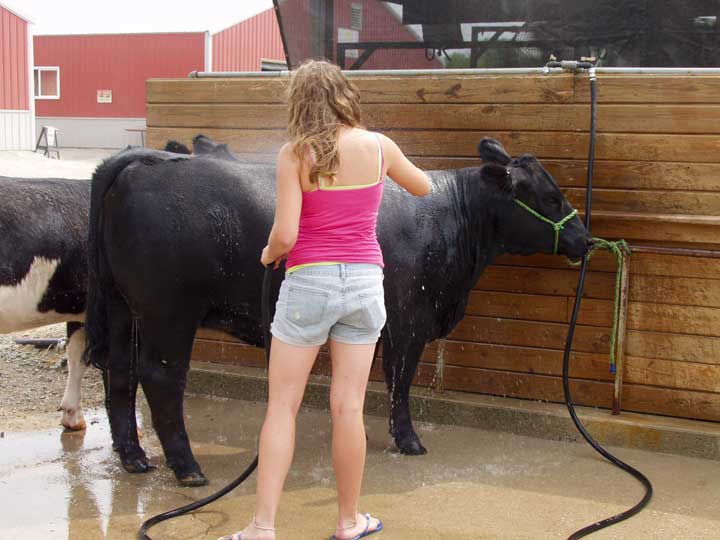 At the fair