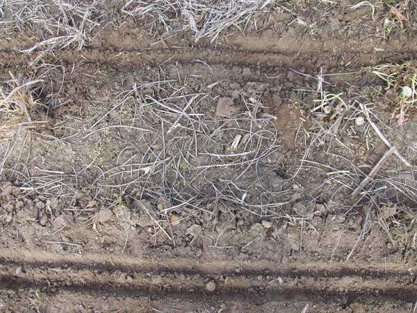 Furrow after planting