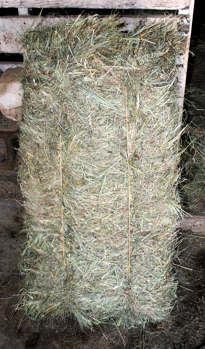 Hay Bale