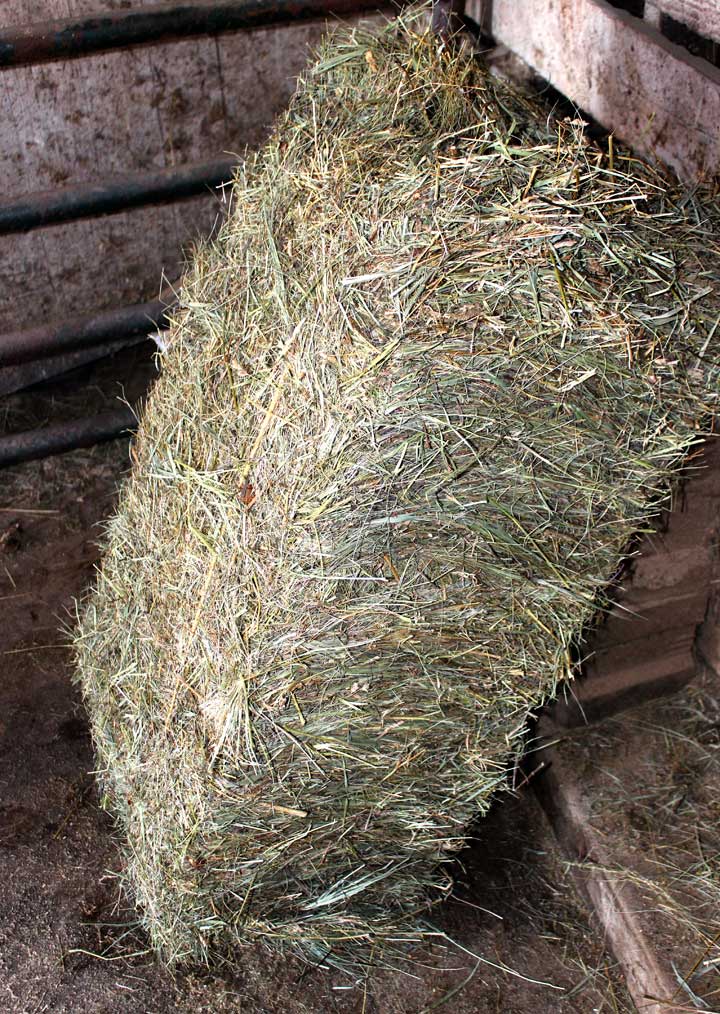 Hay Bale