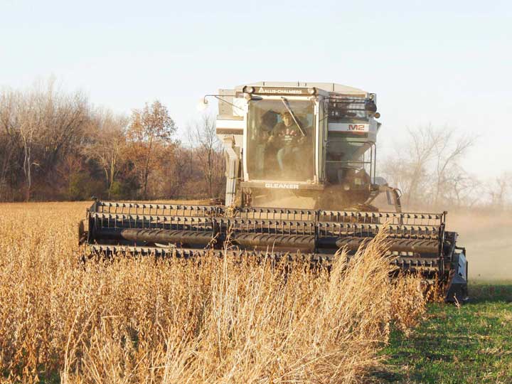 Combining Soybeans