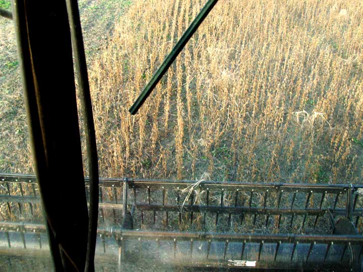 Inside cab of combine