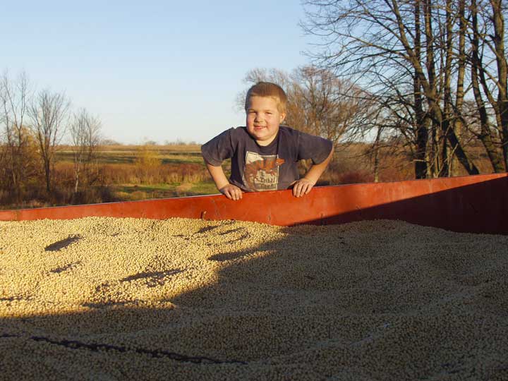 Soybean wagon