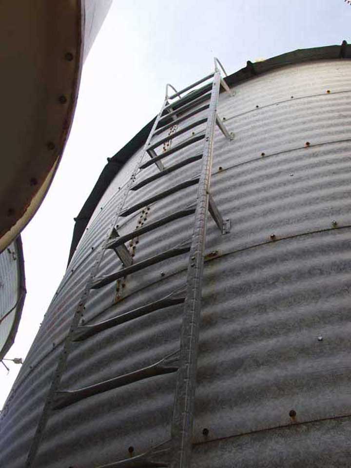 bin ladder