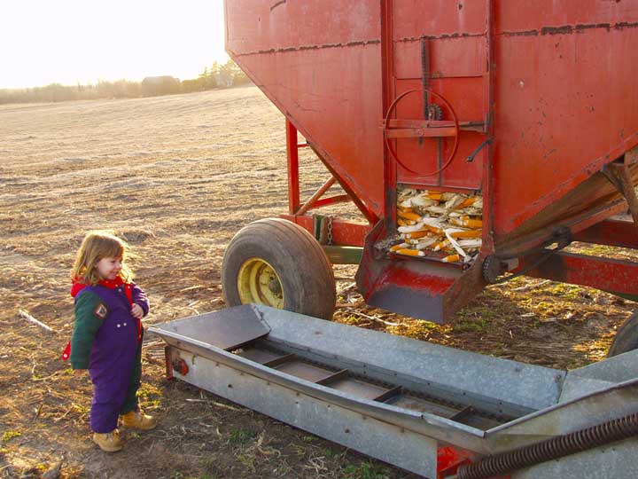 cobs unloading