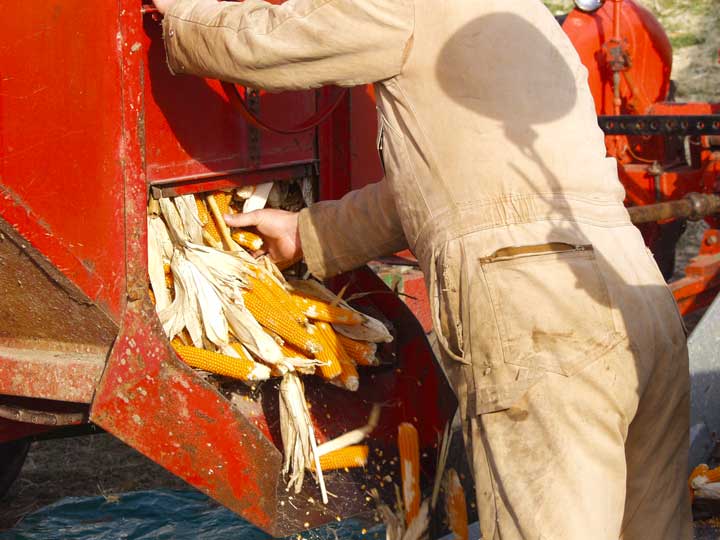 cobs unloading