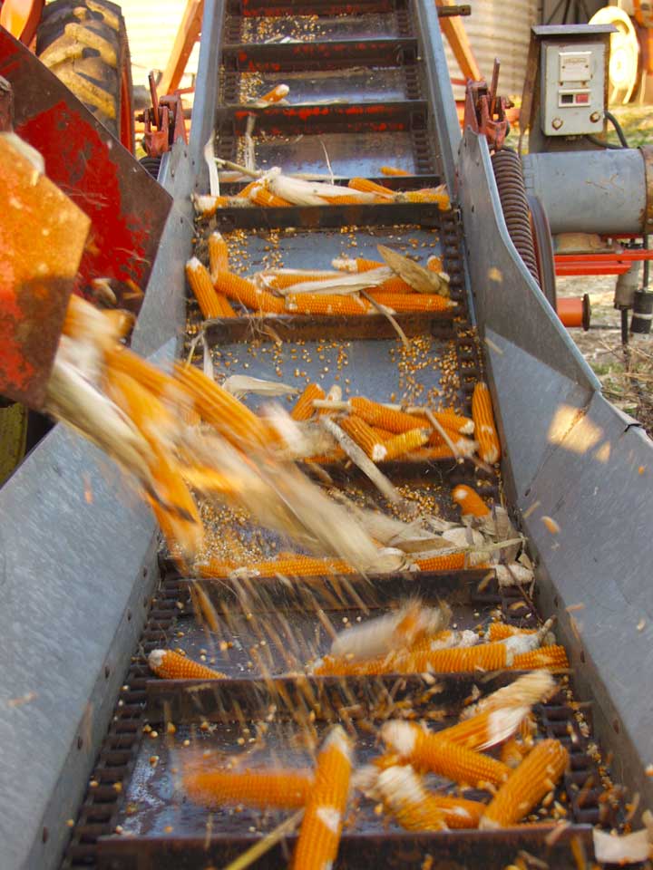cobs unloading